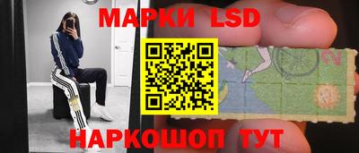 стафф Кинель