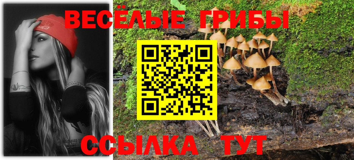 Галлюциногенные грибы Psilocybe  Вход с VPN  Канск 