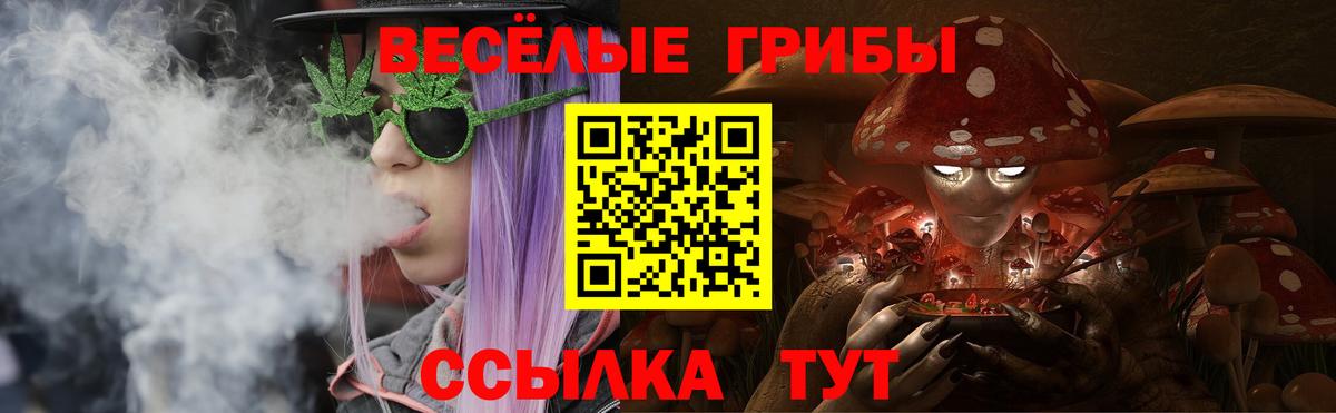Галлюциногенные грибы мухоморы Канск